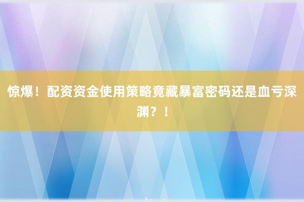 惊爆！配资资金使用策略竟藏暴富密码还是血亏深渊？！