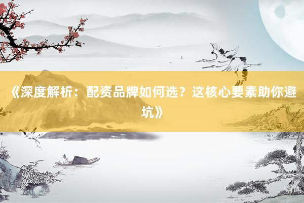 《深度解析：配资品牌如何选？这核心要素助你避坑》