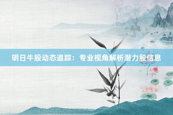 明日牛股动态追踪：专业视角解析潜力股信息