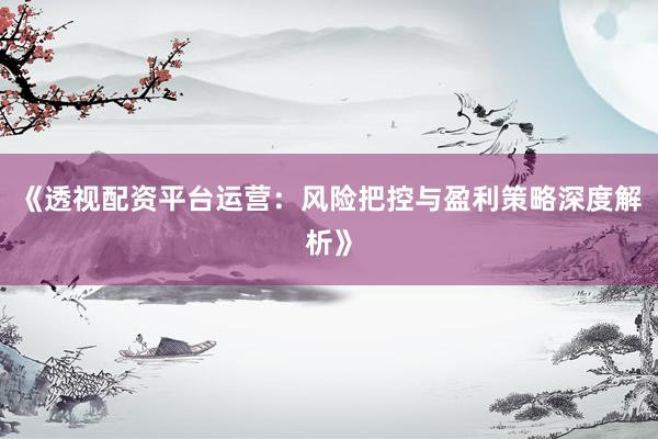 《透视配资平台运营：风险把控与盈利策略深度解析》