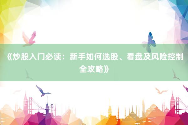 《炒股入门必读：新手如何选股、看盘及风险控制全攻略》