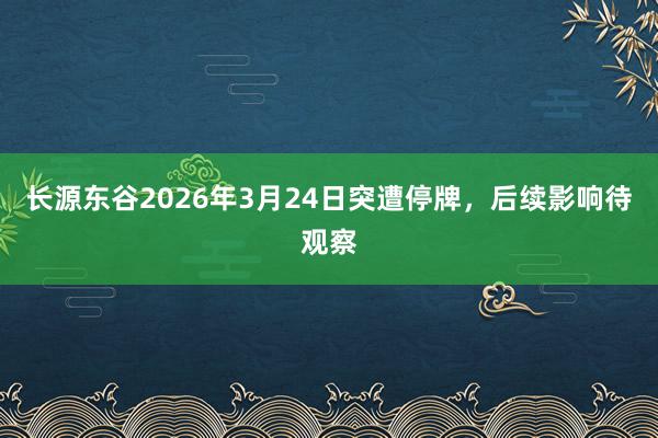 长源东谷2026年3月24日突遭停牌，后续影响待观察