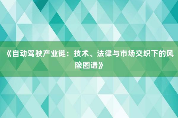 《自动驾驶产业链：技术、法律与市场交织下的风险图谱》