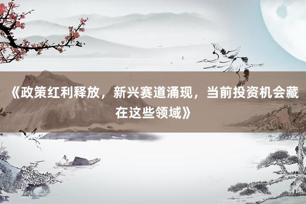 《政策红利释放，新兴赛道涌现，当前投资机会藏在这些领域》