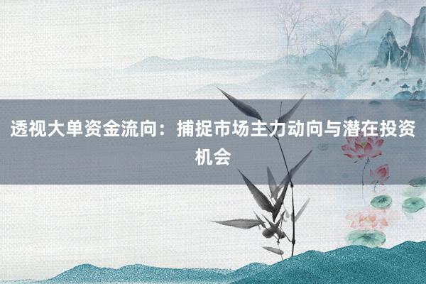 透视大单资金流向：捕捉市场主力动向与潜在投资机会