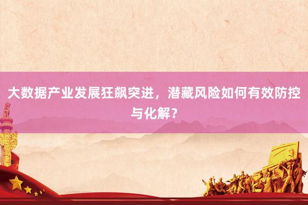 大数据产业发展狂飙突进，潜藏风险如何有效防控与化解？