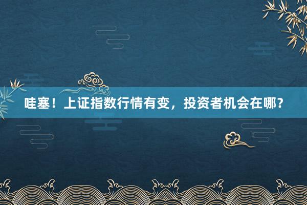 哇塞！上证指数行情有变，投资者机会在哪？