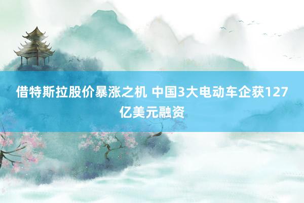 借特斯拉股价暴涨之机 中国3大电动车企获127亿美元融资