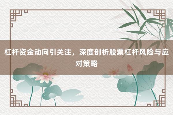 杠杆资金动向引关注，深度剖析股票杠杆风险与应对策略