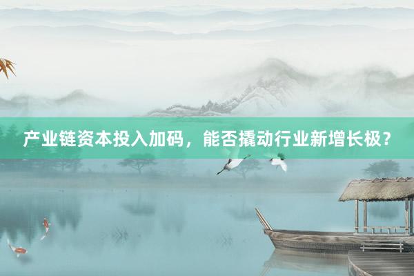 产业链资本投入加码，能否撬动行业新增长极？
