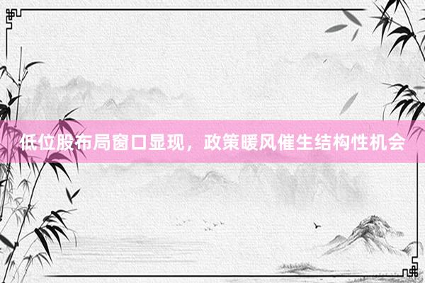 低位股布局窗口显现，政策暖风催生结构性机会