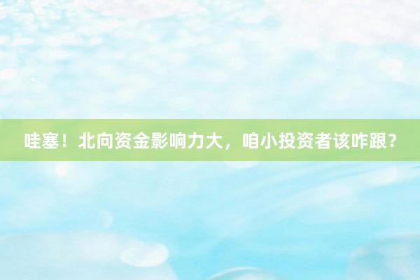哇塞！北向资金影响力大，咱小投资者该咋跟？