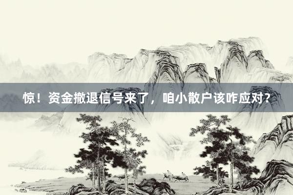 惊！资金撤退信号来了，咱小散户该咋应对？