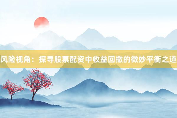 风险视角：探寻股票配资中收益回撤的微妙平衡之道