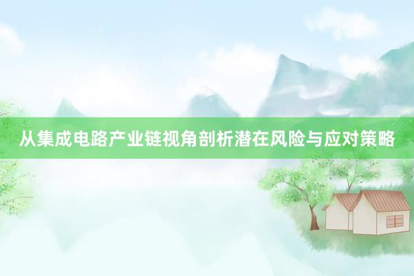 从集成电路产业链视角剖析潜在风险与应对策略