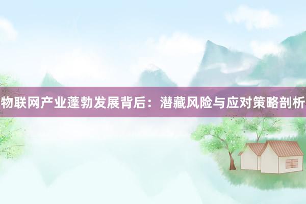 物联网产业蓬勃发展背后：潜藏风险与应对策略剖析