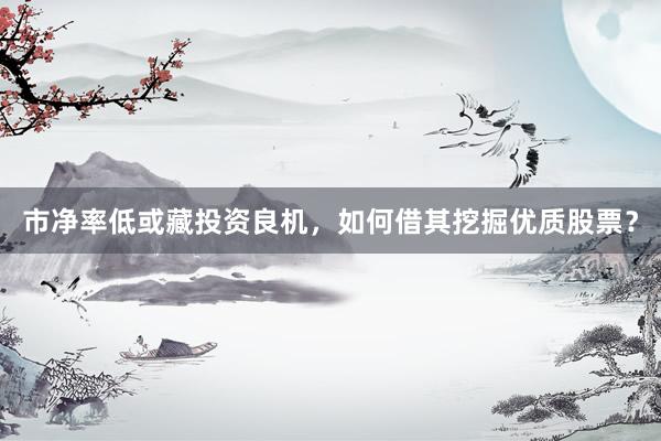 市净率低或藏投资良机，如何借其挖掘优质股票？