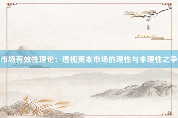 市场有效性理论：透视资本市场的理性与非理性之争
