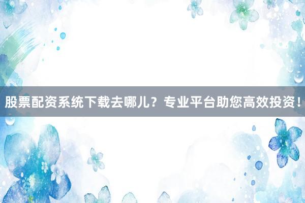 股票配资系统下载去哪儿？专业平台助您高效投资！