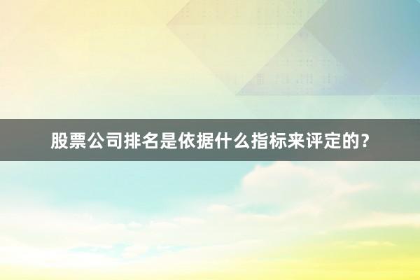 股票公司排名是依据什么指标来评定的？
