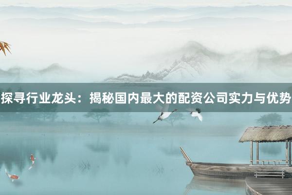 探寻行业龙头：揭秘国内最大的配资公司实力与优势