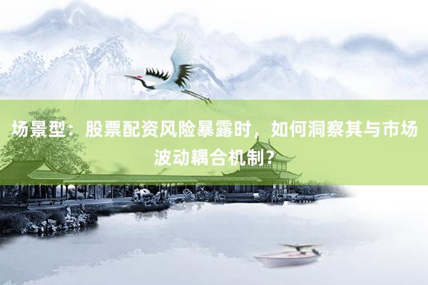 场景型：股票配资风险暴露时，如何洞察其与市场波动耦合机制？