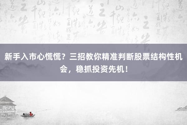 新手入市心慌慌？三招教你精准判断股票结构性机会，稳抓投资先机！