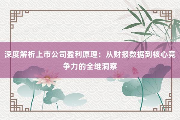 深度解析上市公司盈利原理：从财报数据到核心竞争力的全维洞察
